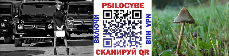 Псилоцибиновые грибы Cubensis  Купить где  Новое Девяткино 